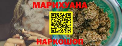 крисы Будённовск