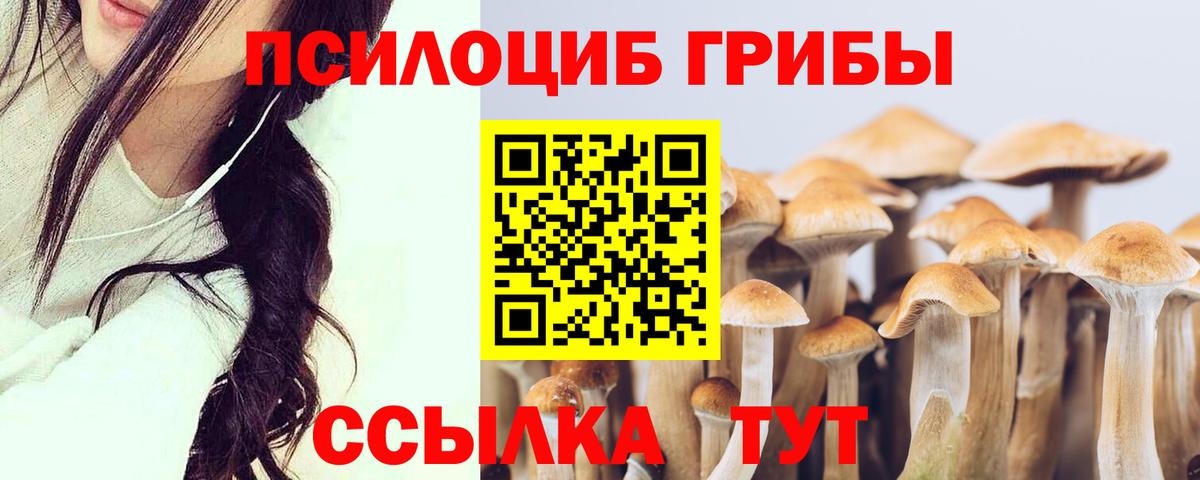 Галлюциногенные грибы ЛСД  Вход с VPN  Псилоцибиновые грибы Magic Shrooms  Красноперекопск 